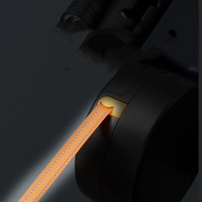 Dual retractable dog leash